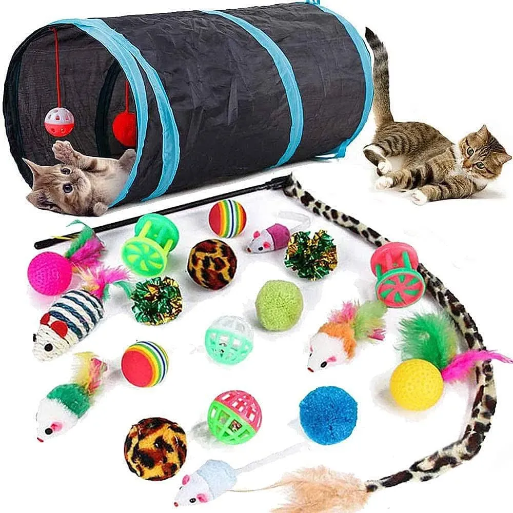 Why Indoor Cats Need the Right Toys