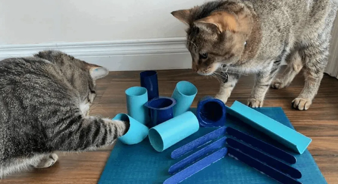 Why Make DIY Cat Toys? Keeping Them Busy on a Budget