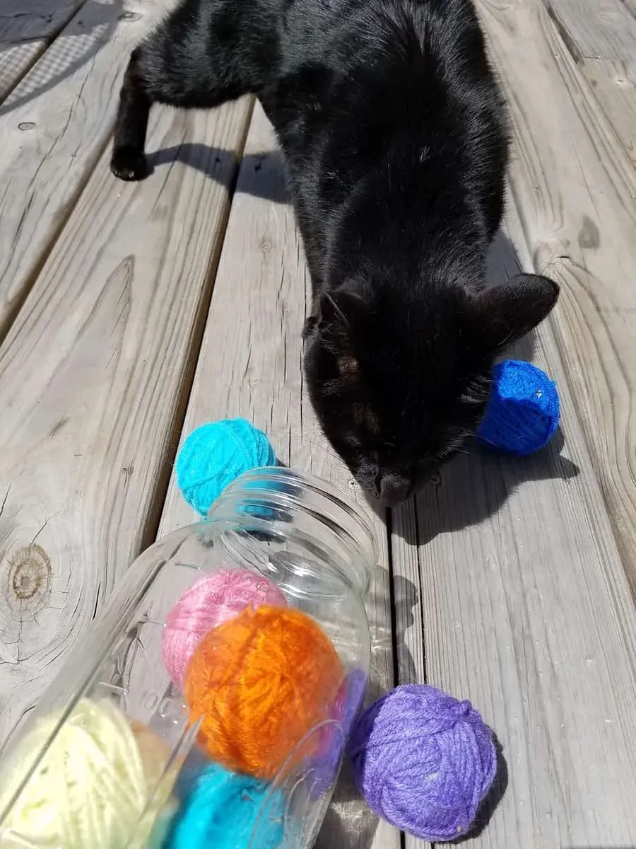 Why Make Homemade Catnip Toys for Cats?