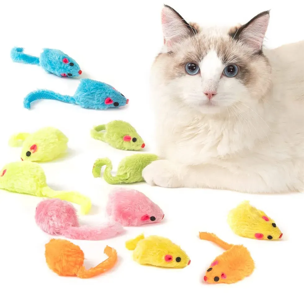 Why Play Matters: More Than Just Fun for Your Cat