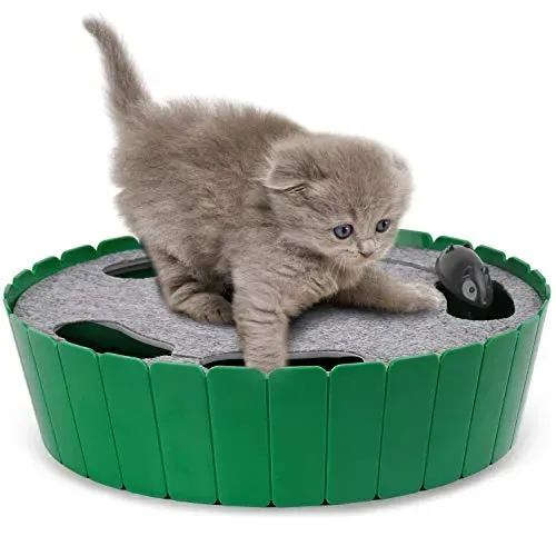 Why Play Matters: More Than Just Fun for Your Cat