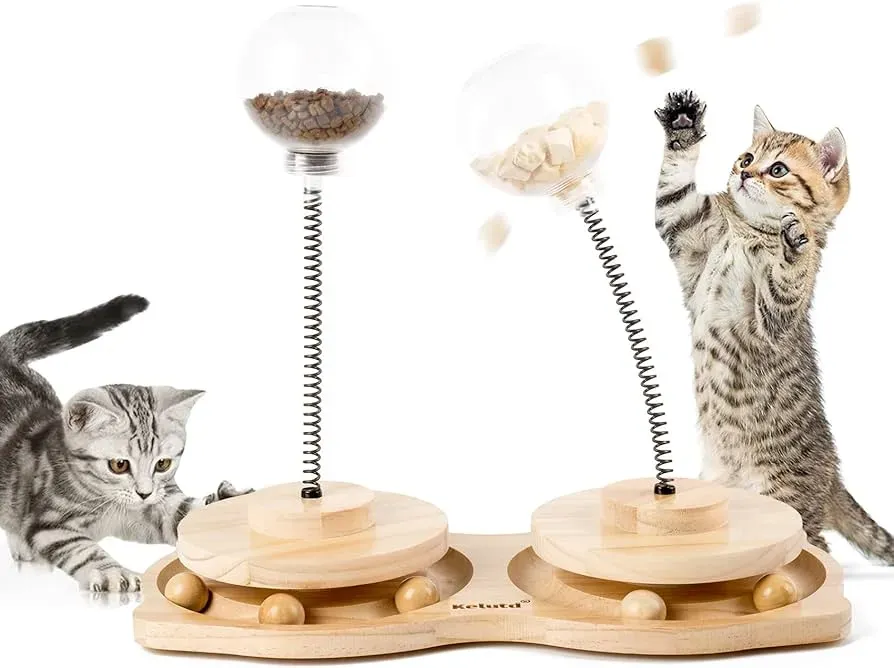 Why Your Cat Actually Needs Interactive Playtime