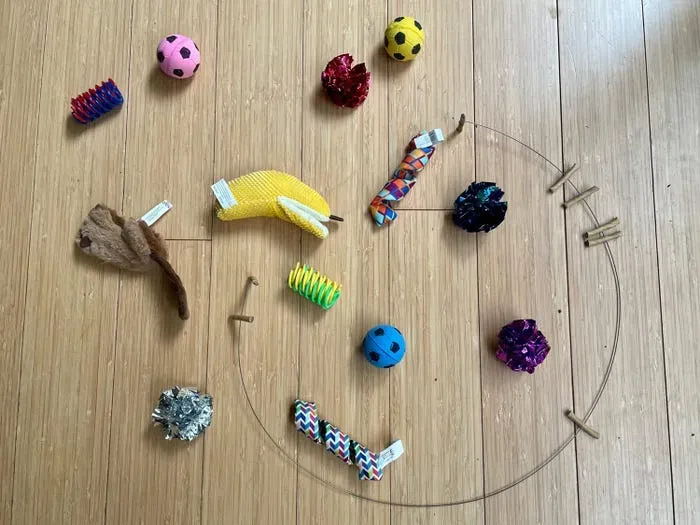 Why Your Cat Actually Needs Toys (It's Not Just for Your Amusement)