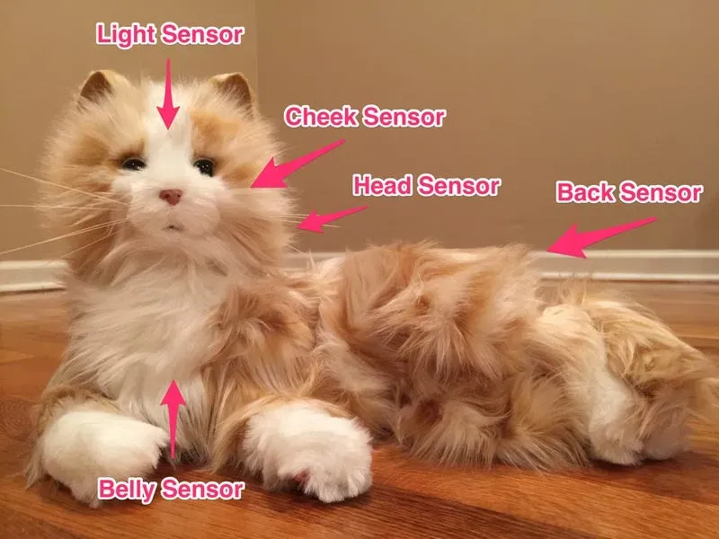 Why Your Cat Might Need the Best Cat Robot Toy