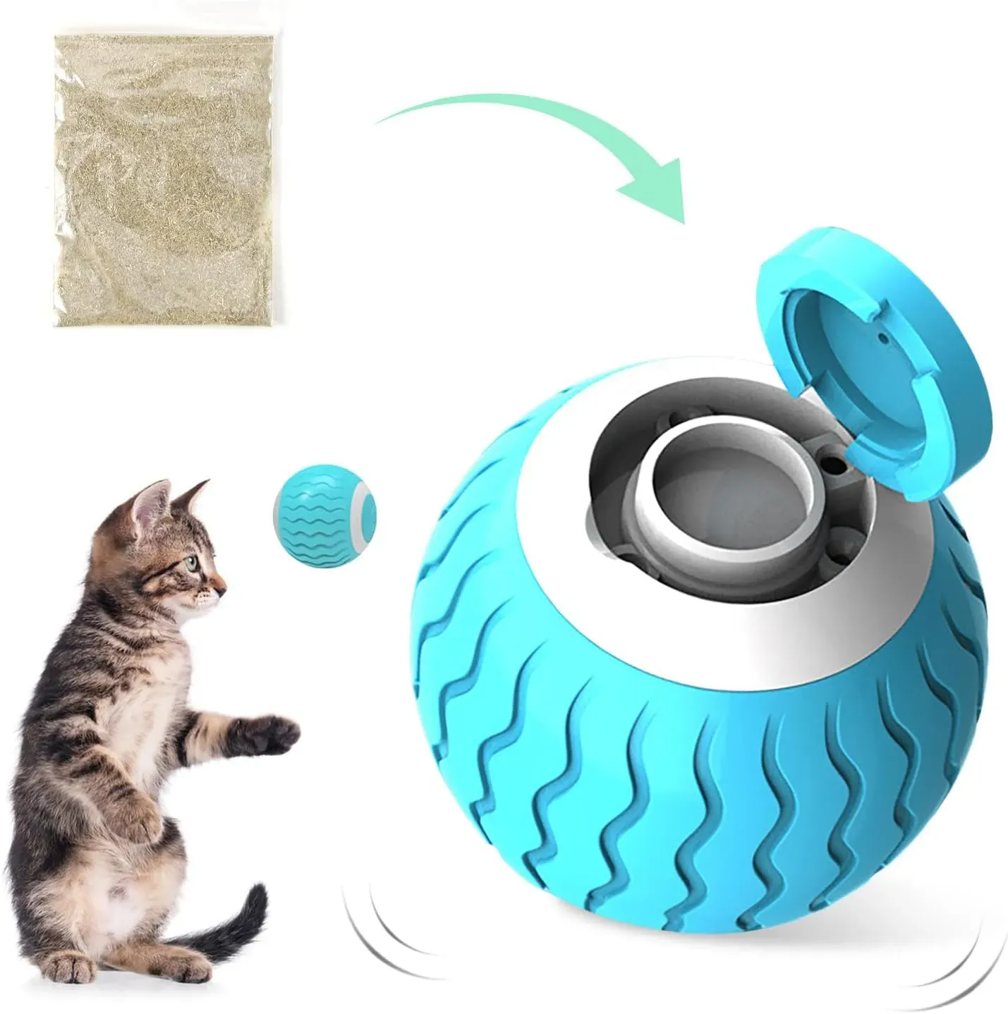 Why Your Cat Needs a Play Partner (Even While You Work)