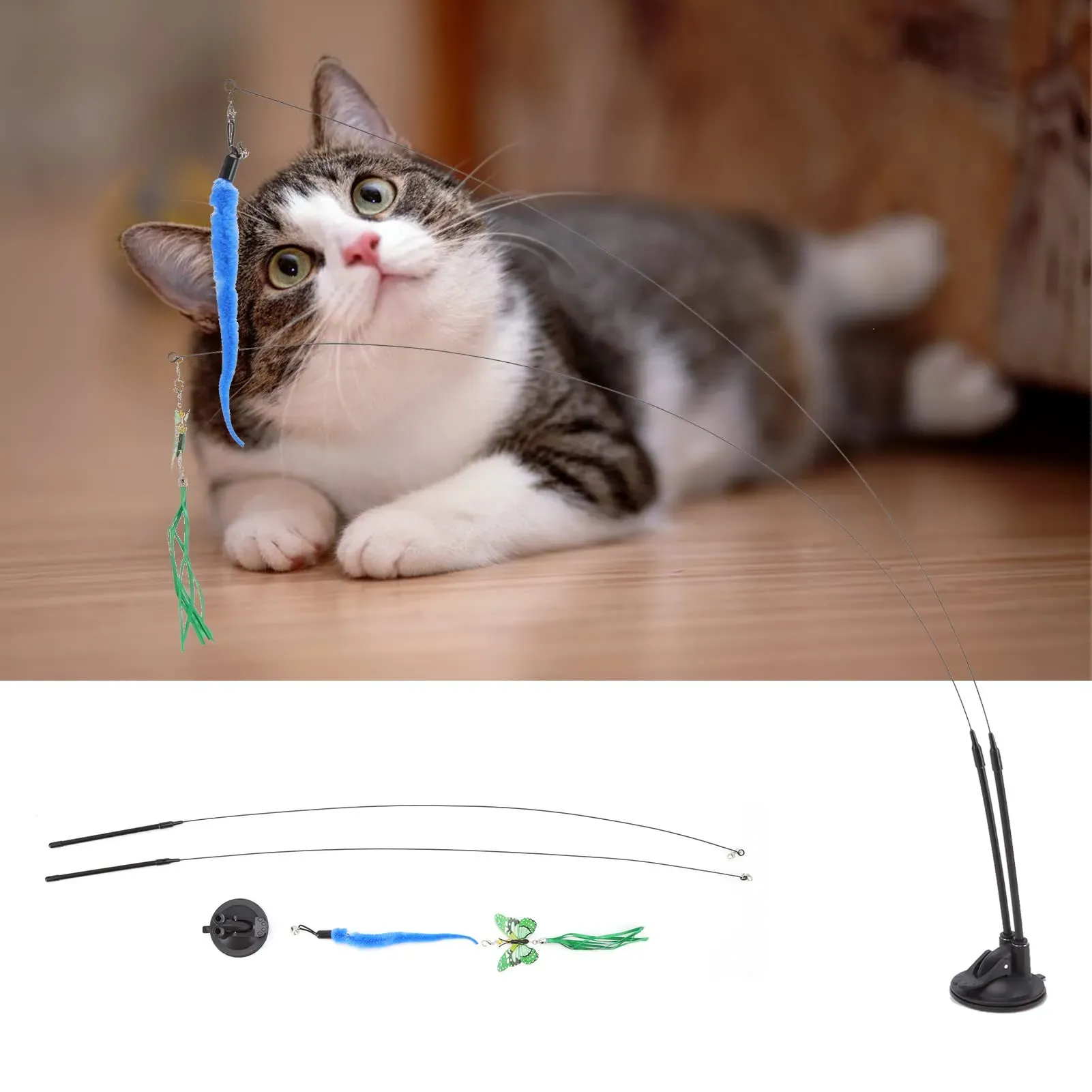 Why Your Cat Needs a Teaser Toy