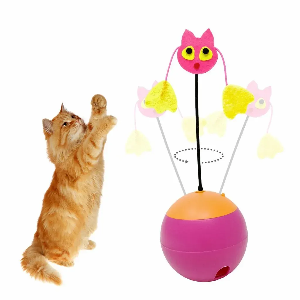 Why Your Cat Needs Active Play (It's not just fun, it's crucial)
