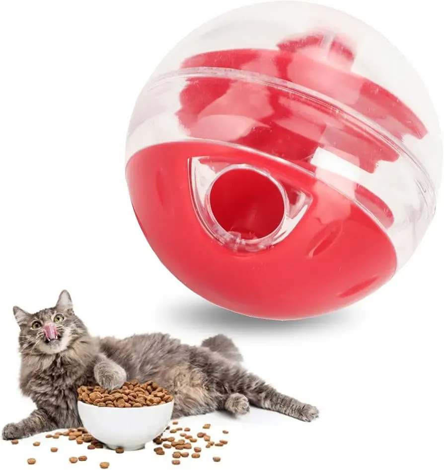 Why Your Cat Needs an Interactive Treat Dispenser