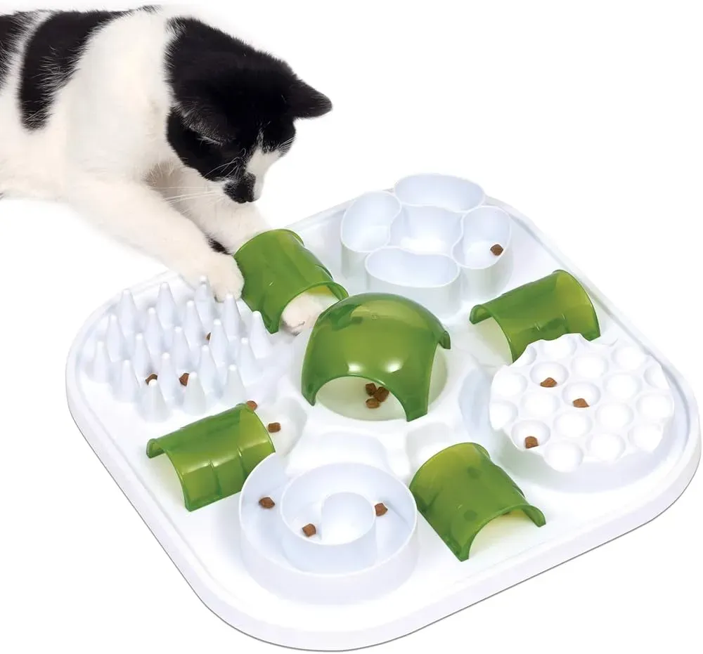Why Your Cat Needs Interactive Play