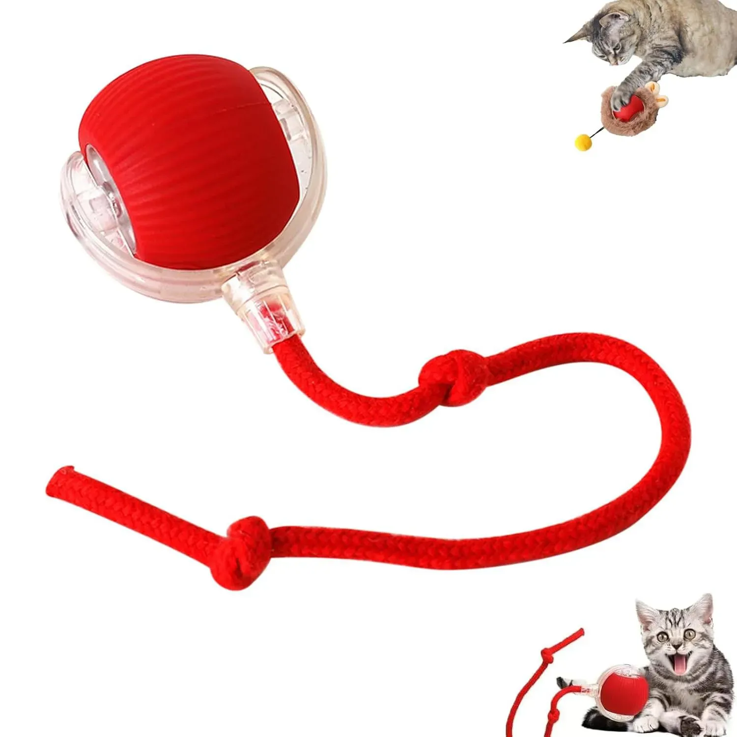 Why Your Cat Needs Interactive Playtime