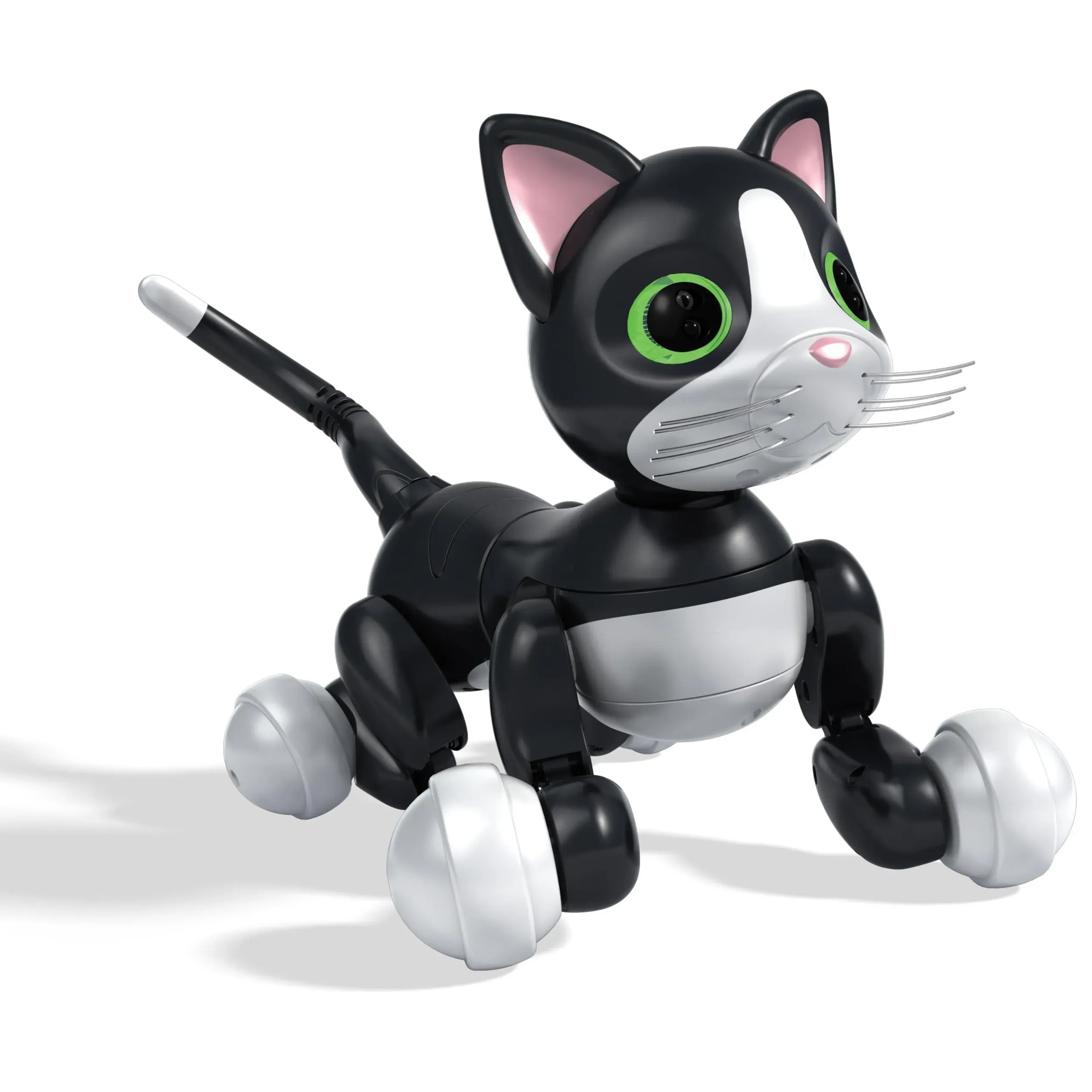 Why Your Cat Needs Interactive Toys Cats Crave