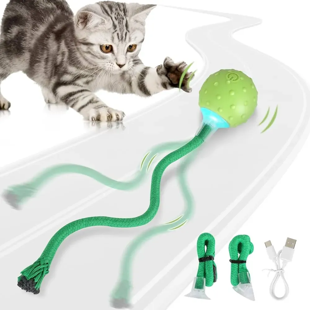 Why Your Cat Needs More Than Just a Box: The Power of Play