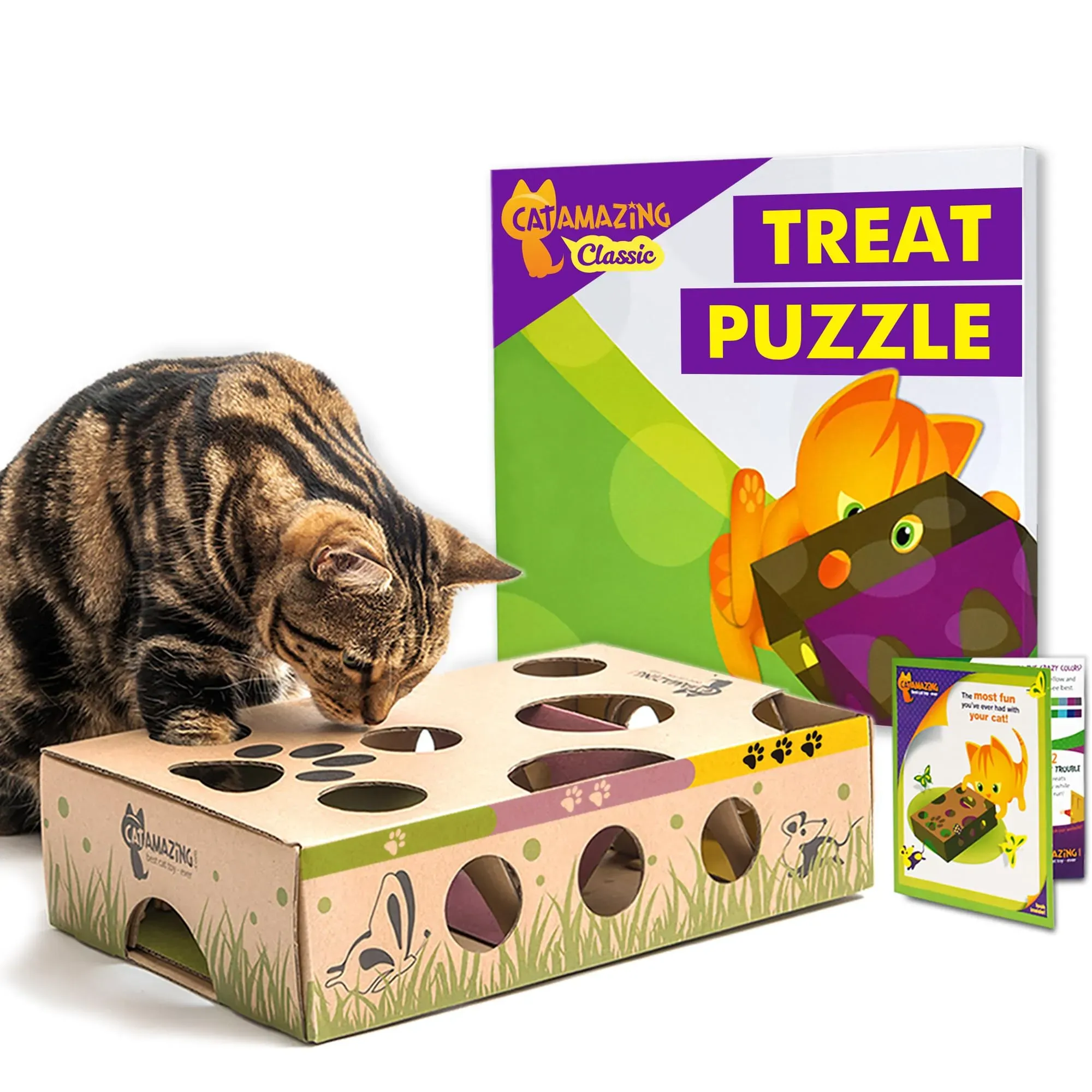 Why Your Cat Needs More Than Just a Cardboard Box (Probably)