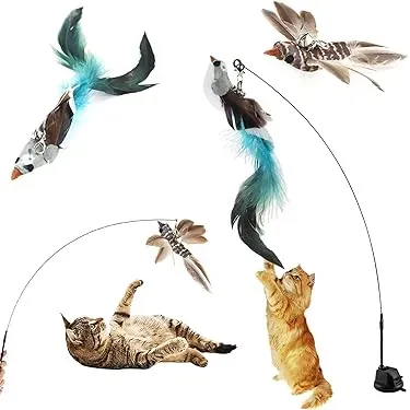 Why Your Cat Needs the Best Cat Feather Toy