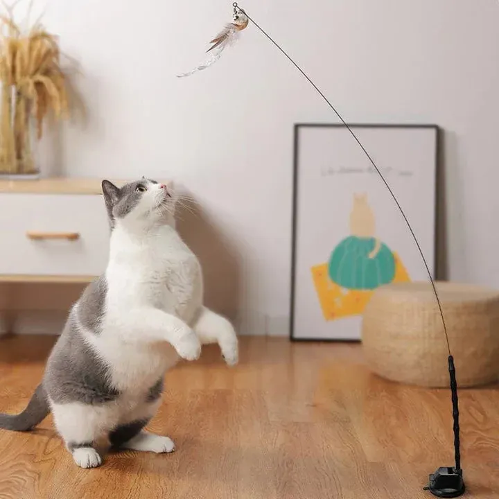 Why Your Cat Needs the Best Cat Toy for Bored Cat