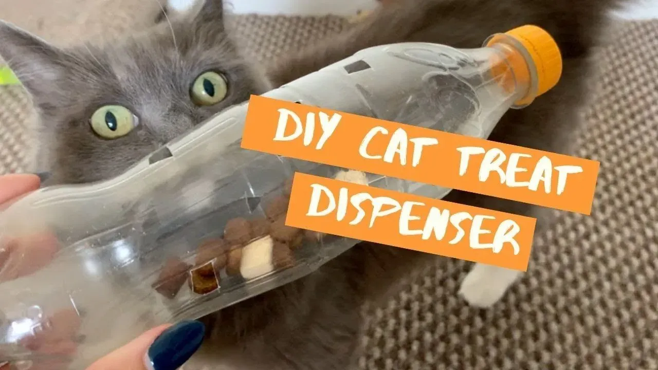 Why Your Cat Needs to Work for Their Dinner (It's Not Mean, Promise)