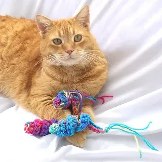 Your StepbyStep Crochet Spiral Cat Toy Pattern